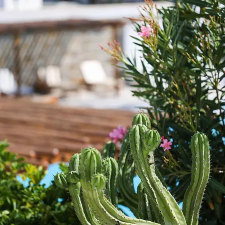 Hotel Poseidon 4*